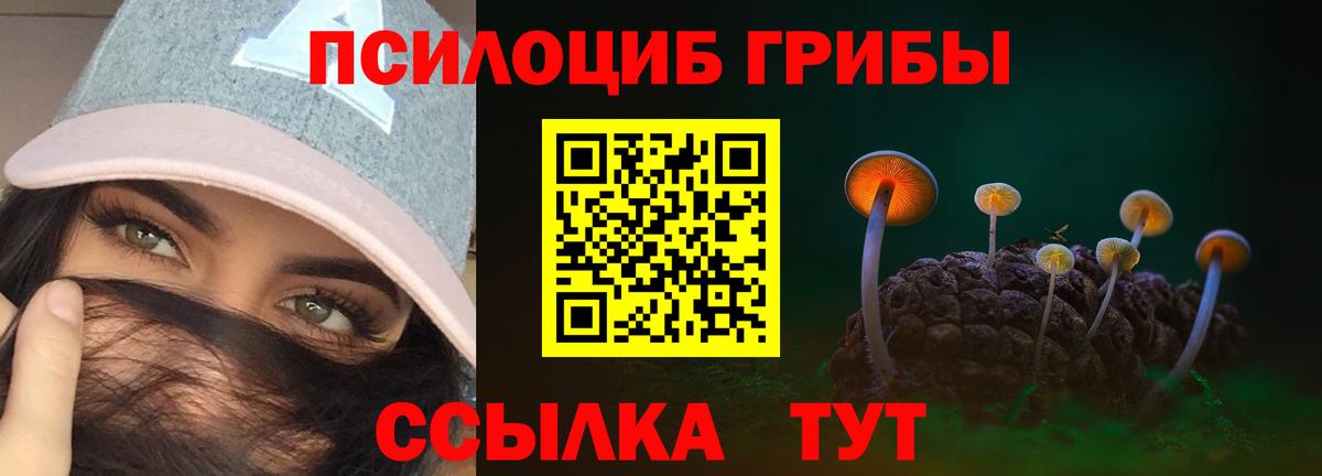 Псилоцибиновые грибы MAGIC MUSHROOMS  Галлюциногенные грибы мицелий  Ликино-Дулёво  Вход с VPN 